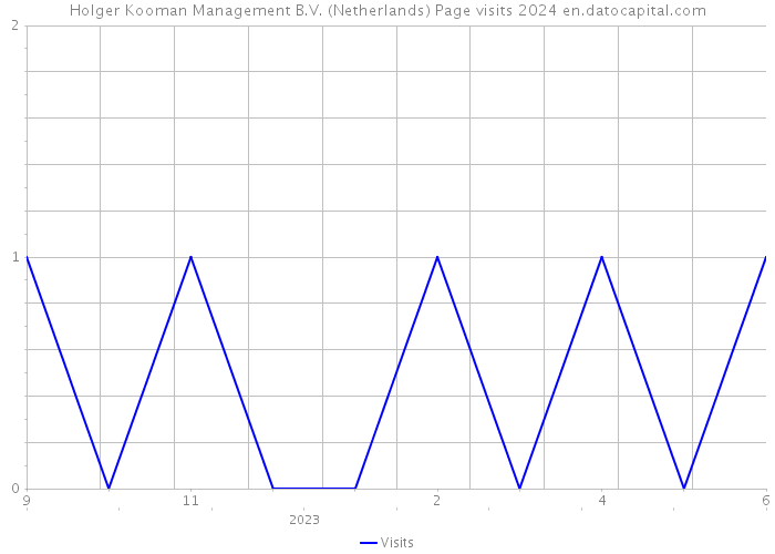 Holger Kooman Management B.V. (Netherlands) Page visits 2024 