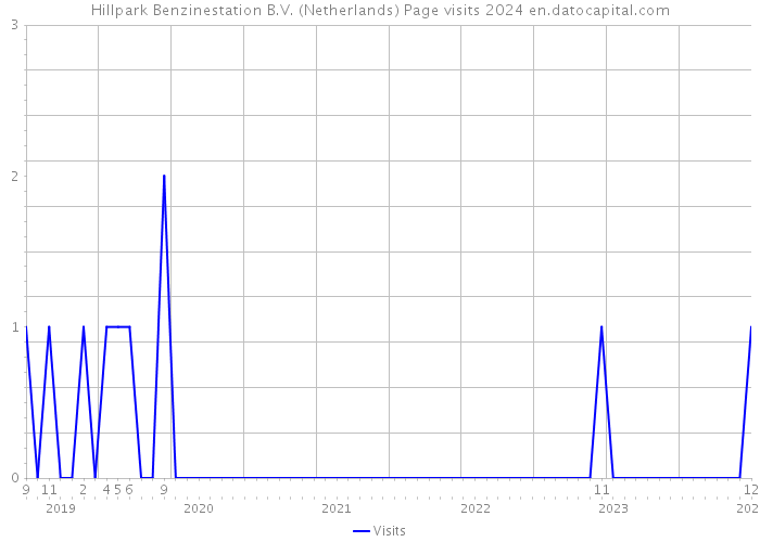 Hillpark Benzinestation B.V. (Netherlands) Page visits 2024 