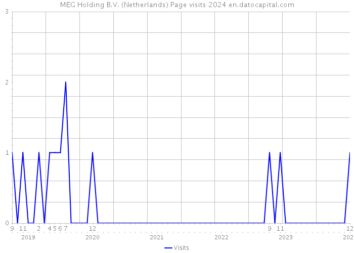 MEG Holding B.V. (Netherlands) Page visits 2024 