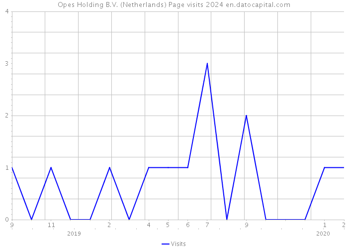 Opes Holding B.V. (Netherlands) Page visits 2024 