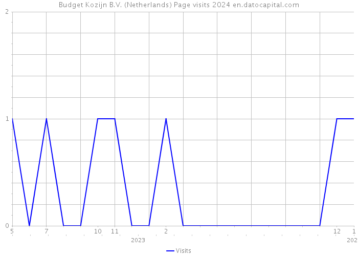 Budget Kozijn B.V. (Netherlands) Page visits 2024 