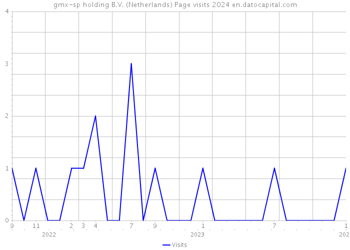 gmx-sp holding B.V. (Netherlands) Page visits 2024 
