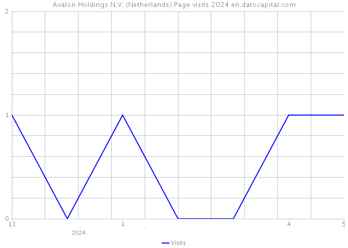 Avalon Holdings N.V. (Netherlands) Page visits 2024 