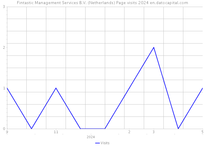 Fintastic Management Services B.V. (Netherlands) Page visits 2024 