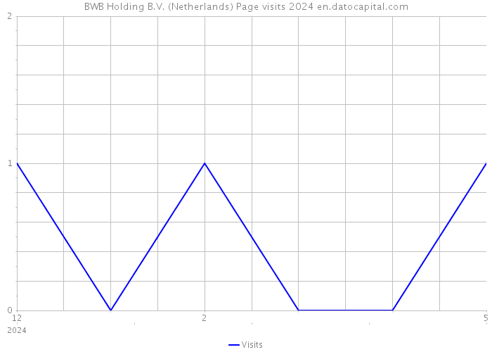 BWB Holding B.V. (Netherlands) Page visits 2024 