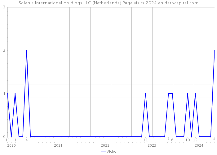 Solenis International Holdings LLC (Netherlands) Page visits 2024 