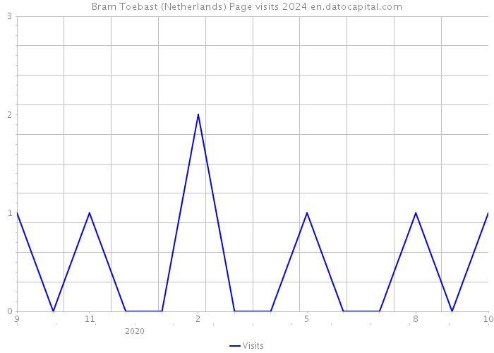 Bram Toebast (Netherlands) Page visits 2024 