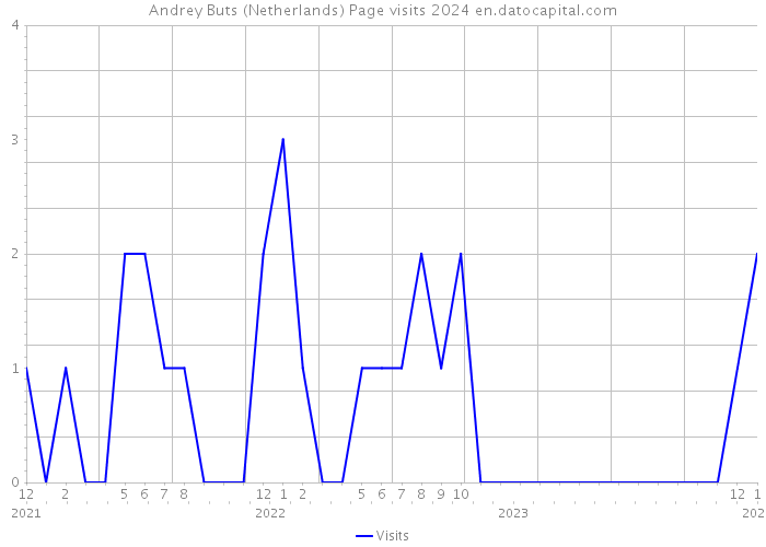 Andrey Buts (Netherlands) Page visits 2024 