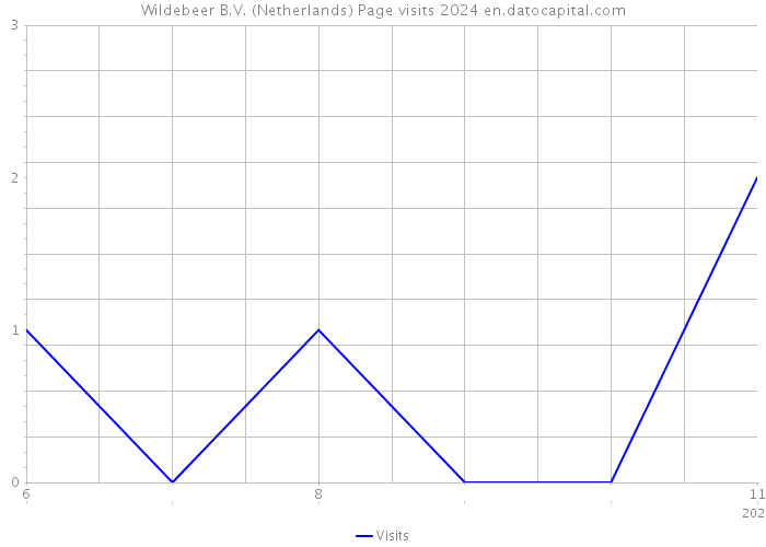Wildebeer B.V. (Netherlands) Page visits 2024 