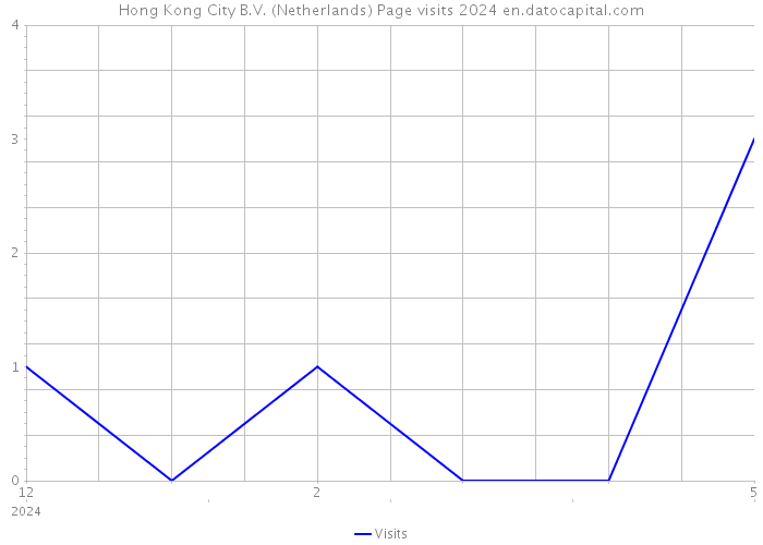 Hong Kong City B.V. (Netherlands) Page visits 2024 