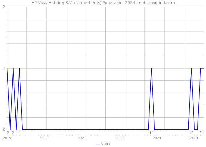 HP Voss Holding B.V. (Netherlands) Page visits 2024 