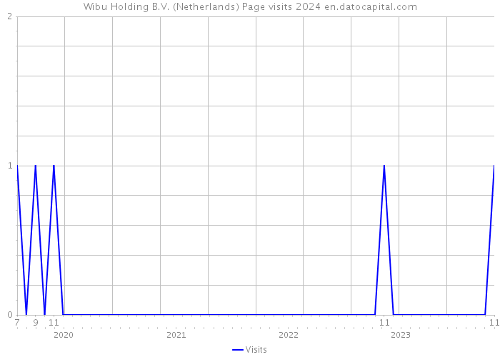 Wibu Holding B.V. (Netherlands) Page visits 2024 