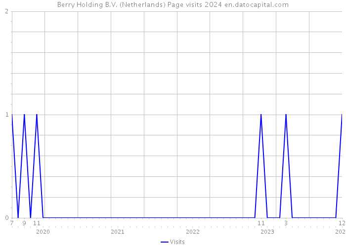 Berry Holding B.V. (Netherlands) Page visits 2024 