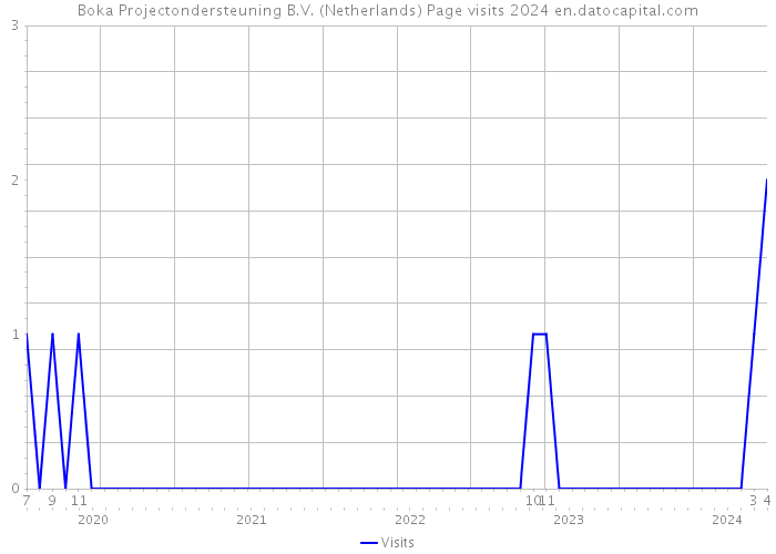 Boka Projectondersteuning B.V. (Netherlands) Page visits 2024 