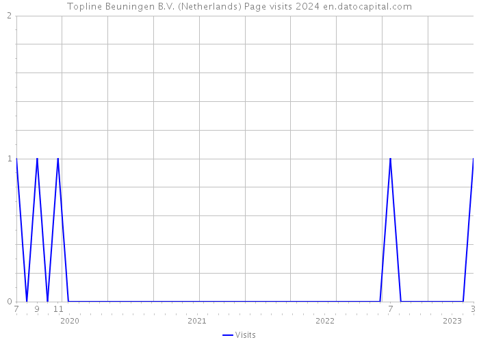 Topline Beuningen B.V. (Netherlands) Page visits 2024 