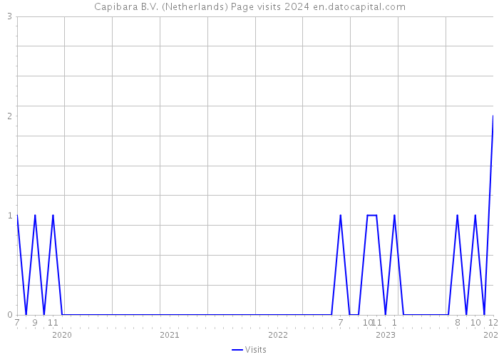 Capibara B.V. (Netherlands) Page visits 2024 