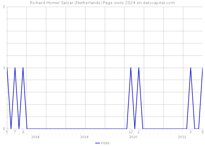 Richard Homer Salzar (Netherlands) Page visits 2024 