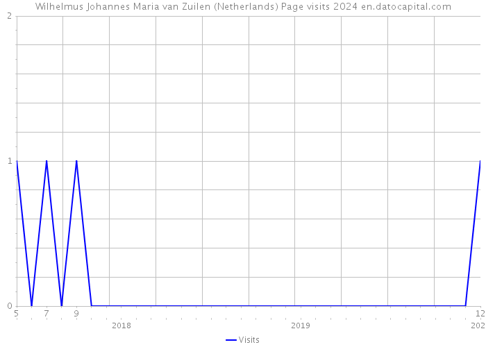 Wilhelmus Johannes Maria van Zuilen (Netherlands) Page visits 2024 