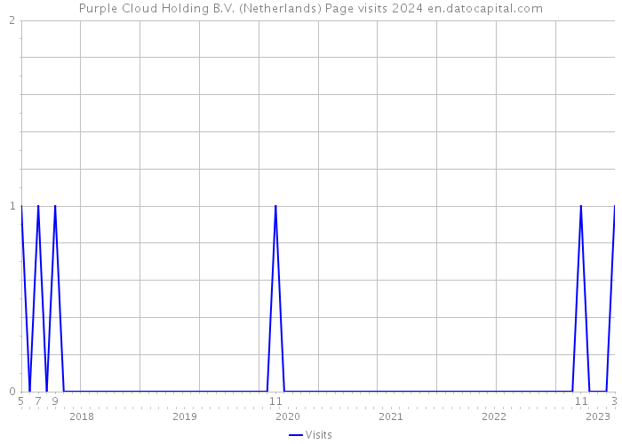 Purple Cloud Holding B.V. (Netherlands) Page visits 2024 
