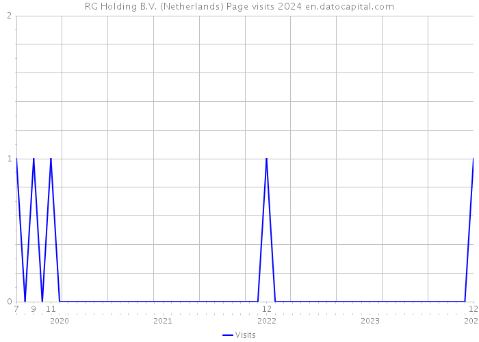 RG Holding B.V. (Netherlands) Page visits 2024 