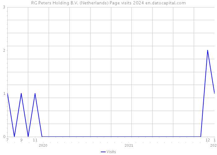 RG Peters Holding B.V. (Netherlands) Page visits 2024 