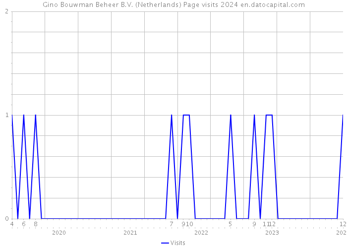 Gino Bouwman Beheer B.V. (Netherlands) Page visits 2024 