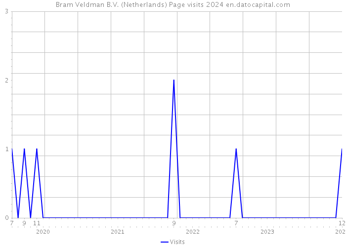 Bram Veldman B.V. (Netherlands) Page visits 2024 