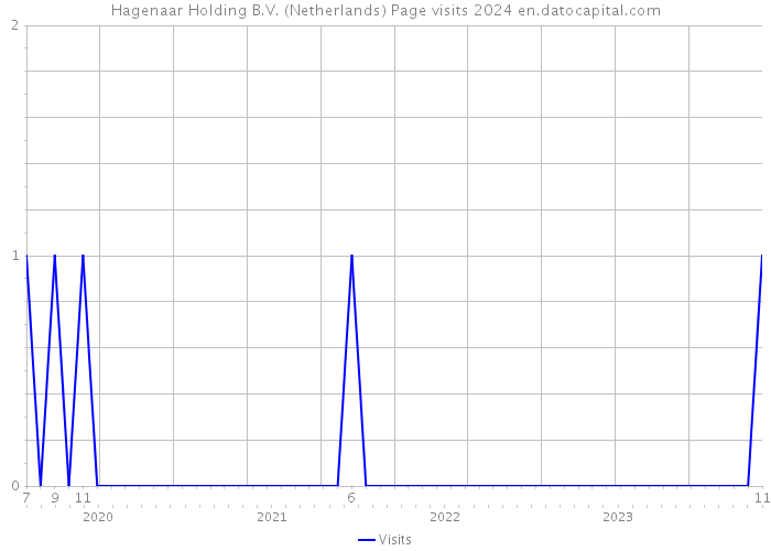 Hagenaar Holding B.V. (Netherlands) Page visits 2024 