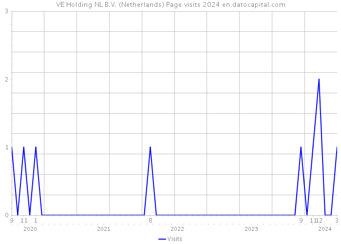 VE Holding NL B.V. (Netherlands) Page visits 2024 