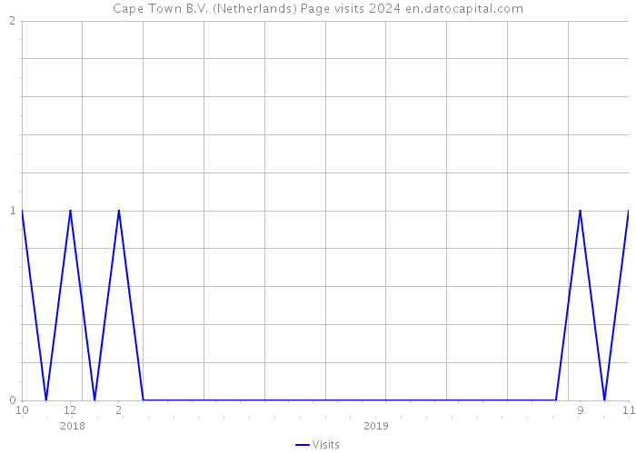 Cape Town B.V. (Netherlands) Page visits 2024 