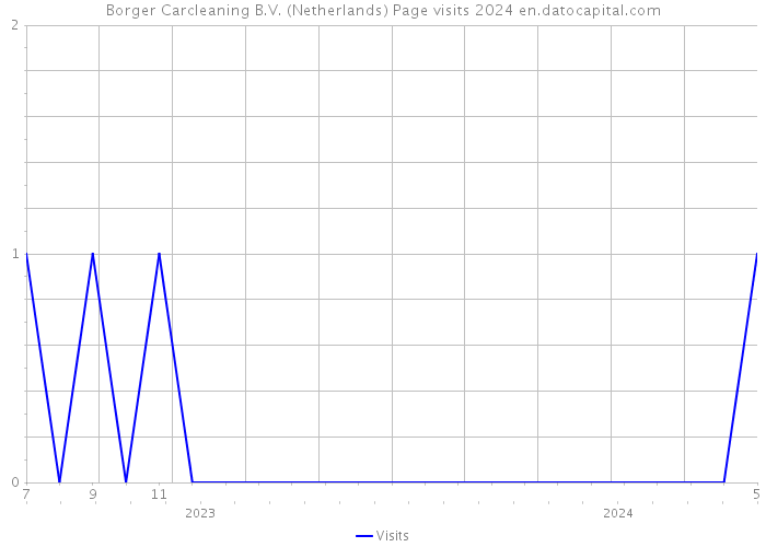 Borger Carcleaning B.V. (Netherlands) Page visits 2024 