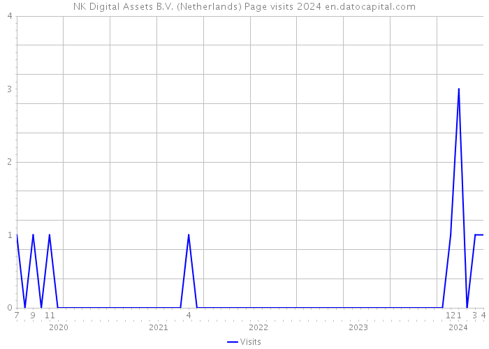 NK Digital Assets B.V. (Netherlands) Page visits 2024 