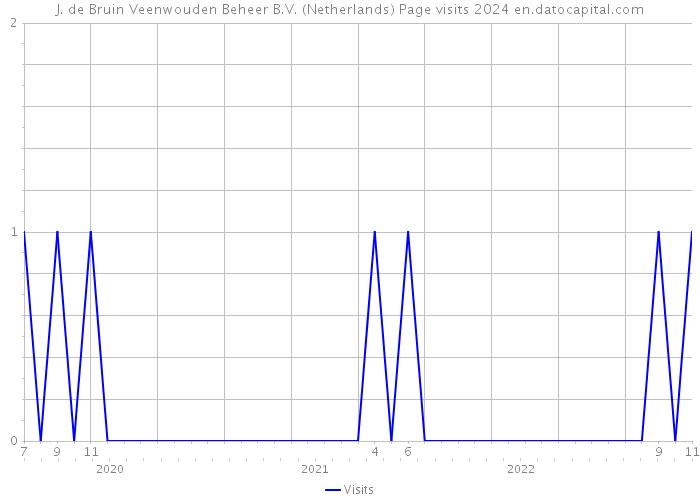 J. de Bruin Veenwouden Beheer B.V. (Netherlands) Page visits 2024 
