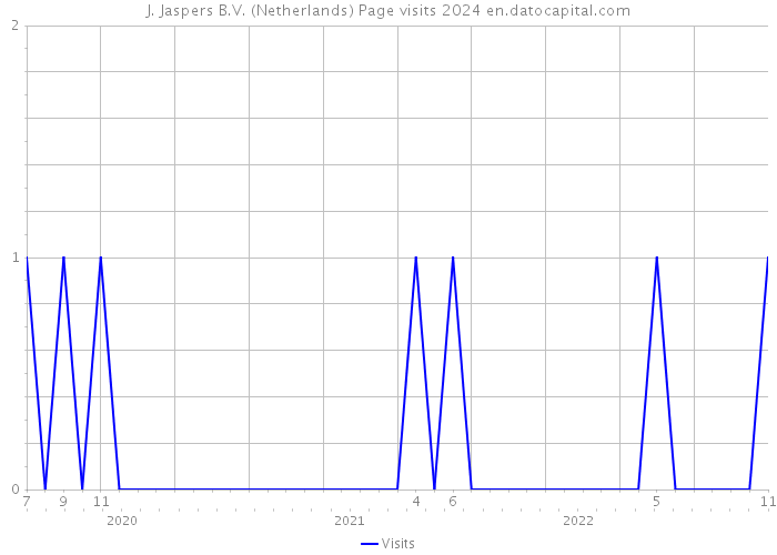 J. Jaspers B.V. (Netherlands) Page visits 2024 