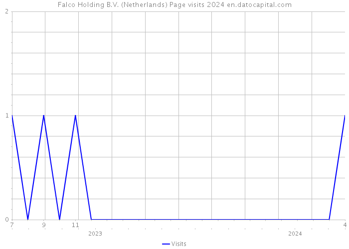 Falco Holding B.V. (Netherlands) Page visits 2024 
