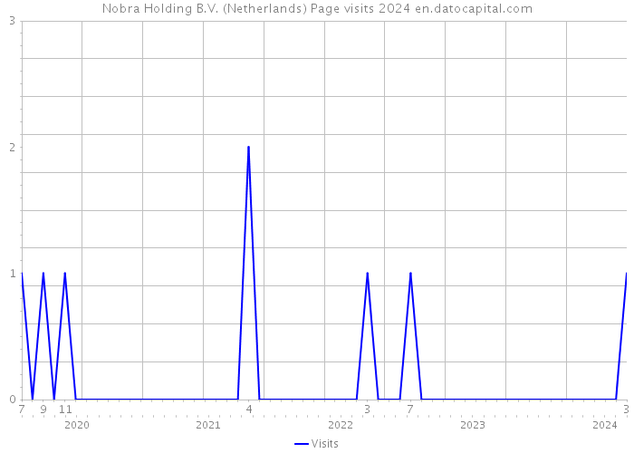 Nobra Holding B.V. (Netherlands) Page visits 2024 