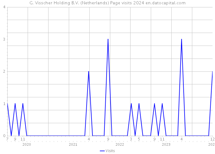 G. Visscher Holding B.V. (Netherlands) Page visits 2024 