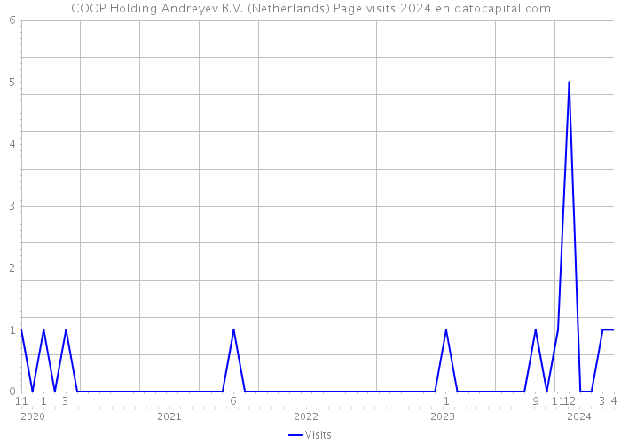 COOP Holding Andreyev B.V. (Netherlands) Page visits 2024 