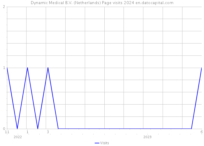 Dynamic Medical B.V. (Netherlands) Page visits 2024 