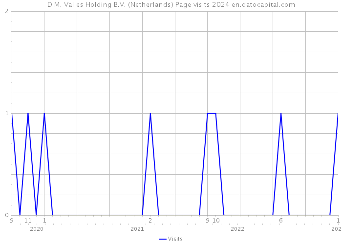 D.M. Valies Holding B.V. (Netherlands) Page visits 2024 