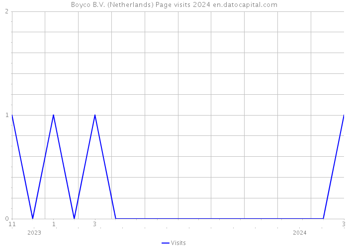 Boyco B.V. (Netherlands) Page visits 2024 