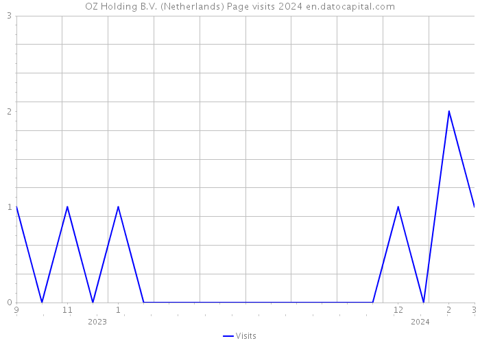 OZ Holding B.V. (Netherlands) Page visits 2024 