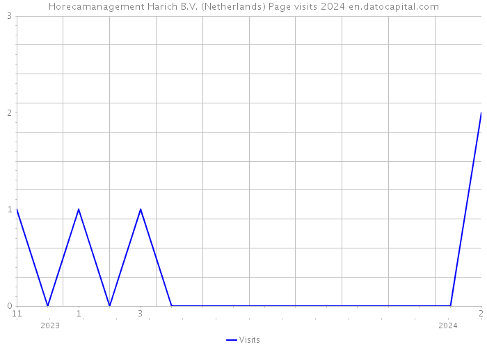 Horecamanagement Harich B.V. (Netherlands) Page visits 2024 