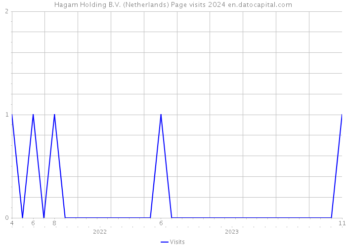 Hagam Holding B.V. (Netherlands) Page visits 2024 