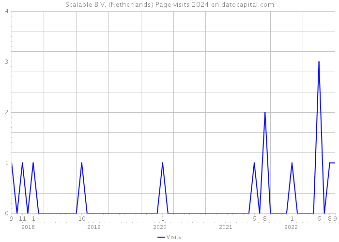 Scalable B.V. (Netherlands) Page visits 2024 