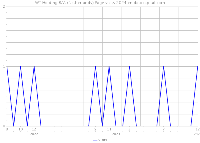 WT Holding B.V. (Netherlands) Page visits 2024 