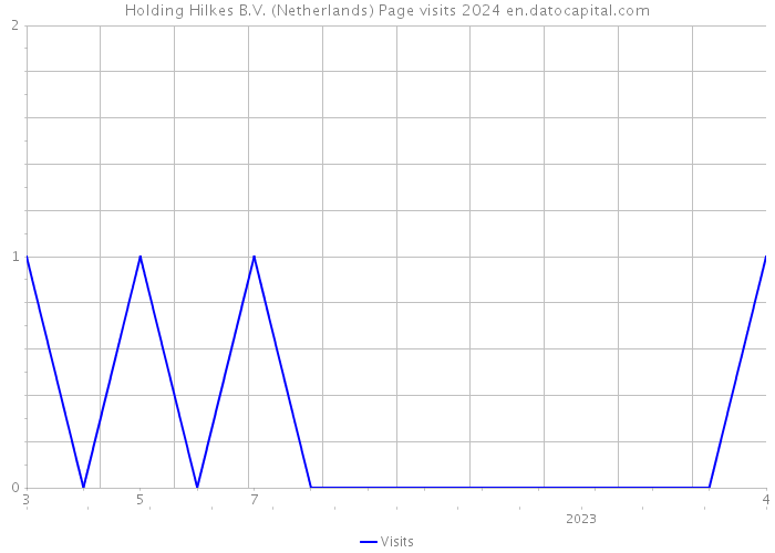 Holding Hilkes B.V. (Netherlands) Page visits 2024 