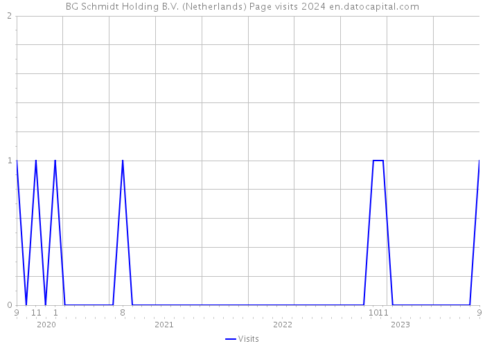 BG Schmidt Holding B.V. (Netherlands) Page visits 2024 