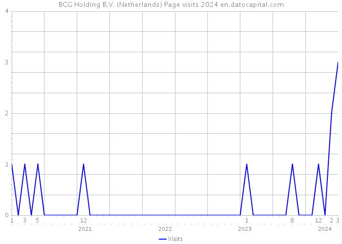 BCG Holding B.V. (Netherlands) Page visits 2024 
