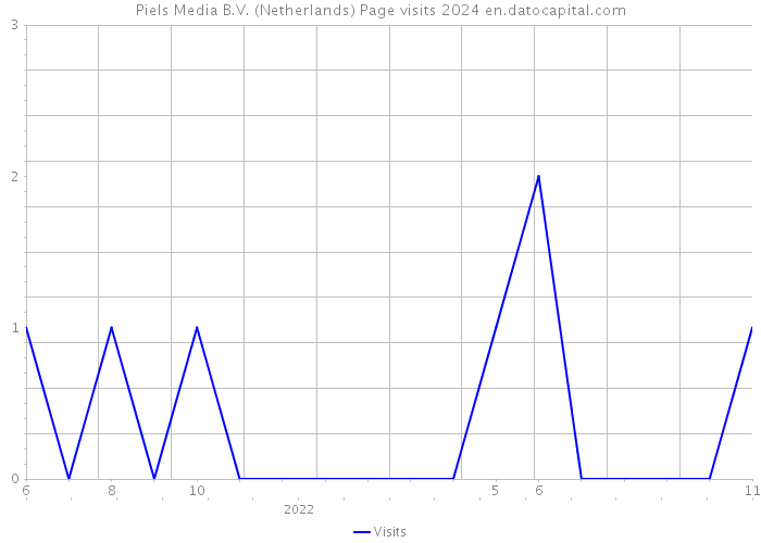 Piels Media B.V. (Netherlands) Page visits 2024 